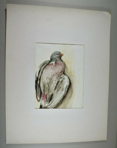 Dessin xxe oiseau - dessin,
