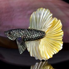 Siamois de Combat Poisson