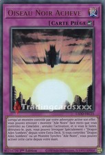 Yu-Gi-Oh! Oiseau Noir Achevé
