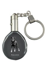 Berger De Beauce, Beauceron -