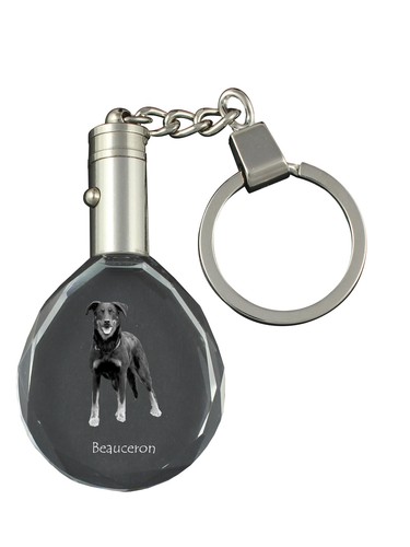 Berger beauce beauceron - berger, de