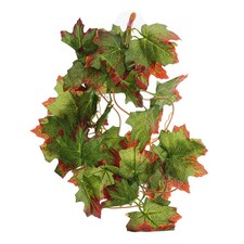  Accessoire Terrarium