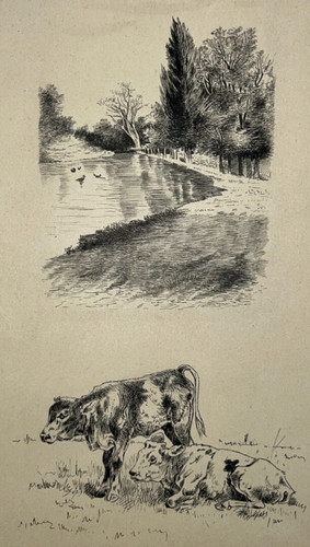 Vaches paysage riviere dessin - vaches,