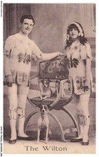 AYNP6-0464-CIRQUE - Cirque -