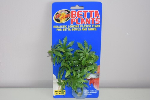 Aquarium betta plante - aquarium,