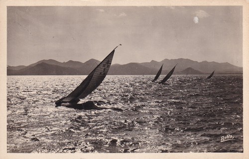 Carte postale postcard - 🦬carte, /