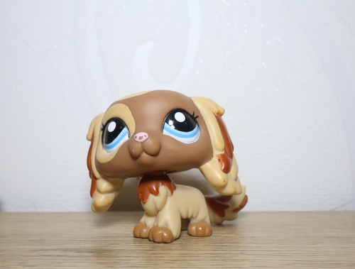 Littlest petshop cavalier king - petshop,