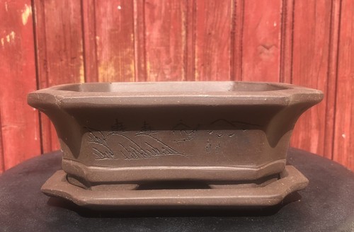 Pot bonsaï avec - avec, soucoupe