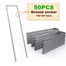 50 Pièces Sardines de