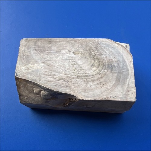 Bloc bois brut érable - bois,
