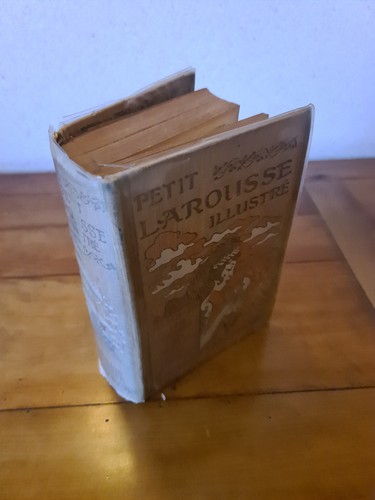 Dictionnaire petit larousse - dictionnaire,