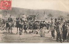 Chasse à courre - Forêt de