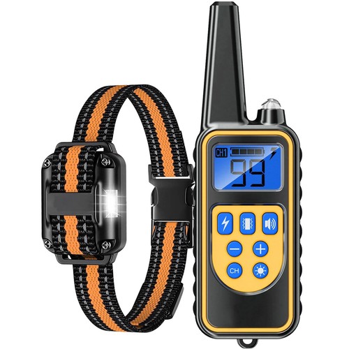 Collier dressage pour chien - collier,