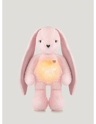 Ours colibri lapin avec - colibri,