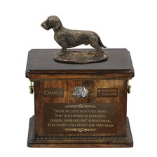 Teckel à poil dur urne avec