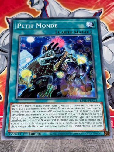 Carte petit monde - gi,