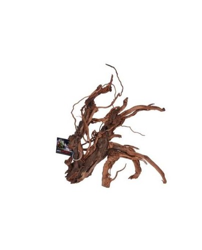 Aquavie curlivigne racine - aquavie,