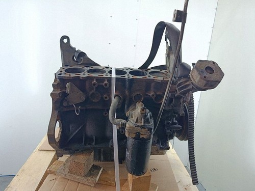Volkswagen transporter - volkswagen,