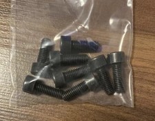Thule 31304 Replacement Bolts