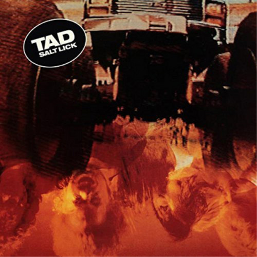 Tad salt lick - (vinyl), expanded