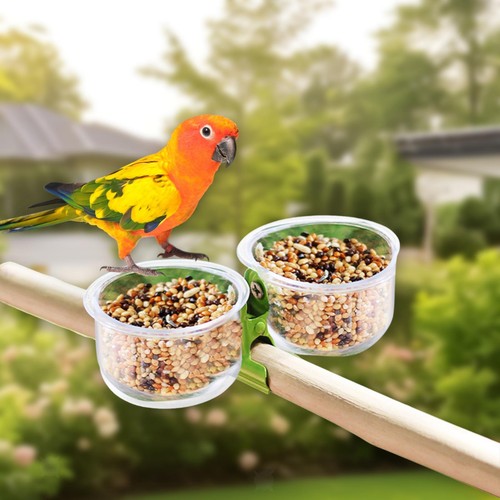 Mangeoires oiseaux avec - oiseaux,