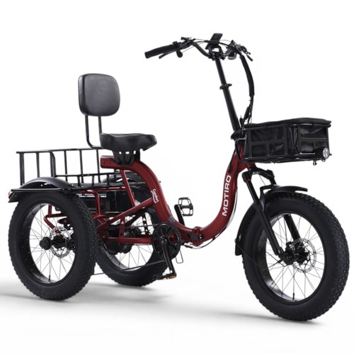 Tricycle électrique adulte