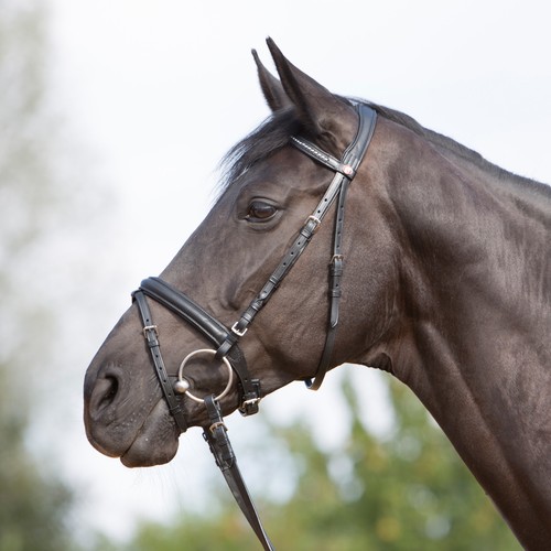 Kieffer bride ultrasoft - ultrasoft, noir