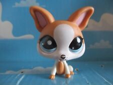 PETSHOP CHIHUAHUA DOG N°2072
