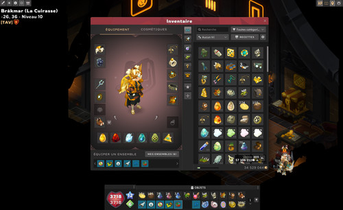 Compte dofus enu 200 - enu,