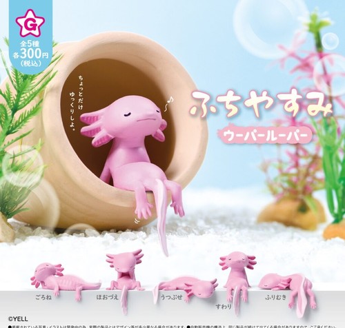 Yell fuchiyasumi axolotl mini - axolotl,