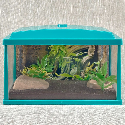 American girl turtle - american, tank