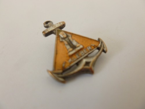 Insigne réduction marine - insigne,