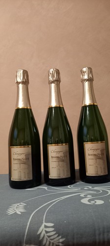 Champagne bernard naude brut - champagne,