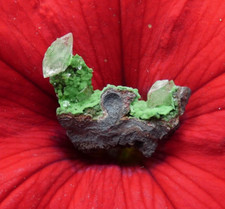 Micromount Calcite Crystal on Conichalcite Micro Minerals Stone Collection