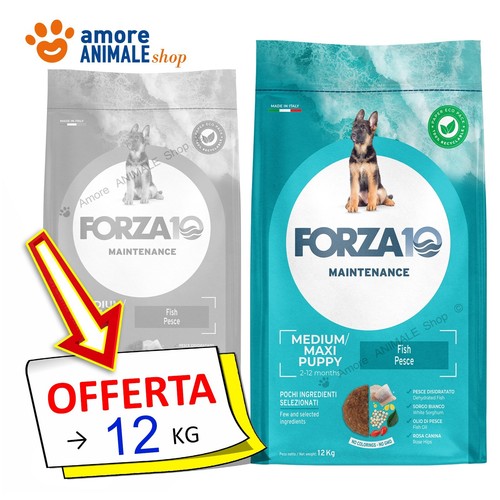 Forza10 chien entretien - chien,