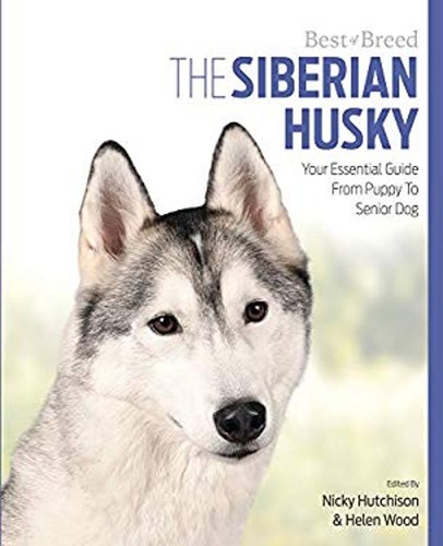 Siberian husky guide - siberian,