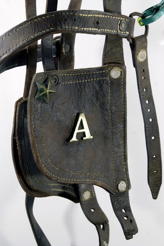 Ancienne bride cheval de - cheval,