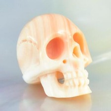 15.37mm Abricot Coque Perle