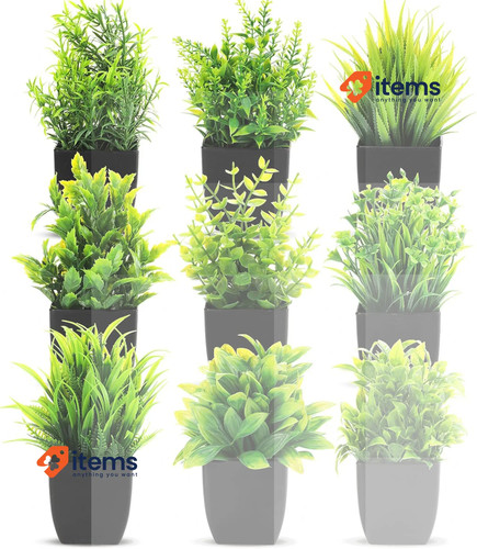 Zenfun lot plantes - 9,