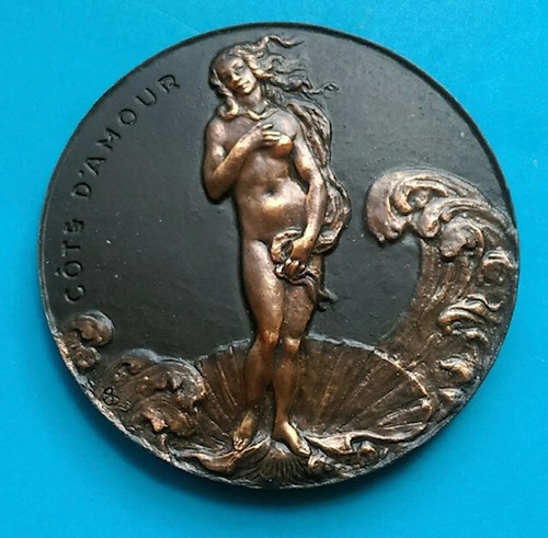 Médaille bretagne côte - bretagne,