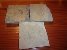 carreau ancien terre cuite 15 ou 16 ème siécles