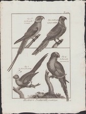 ✒ 1790 BUFFON Bonnaterre