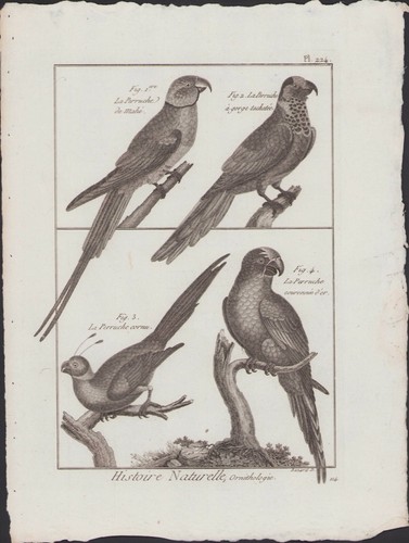 1790 buffon bonnaterre - 1790,