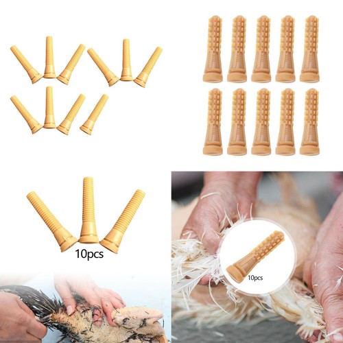 Lot doigts de plumeuse - lot,