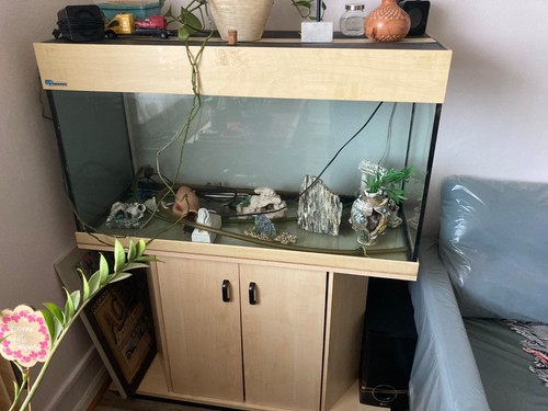 Aquarium avec meuble - aquarium,