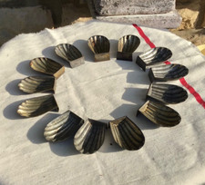 13 ancien moule à madeleines