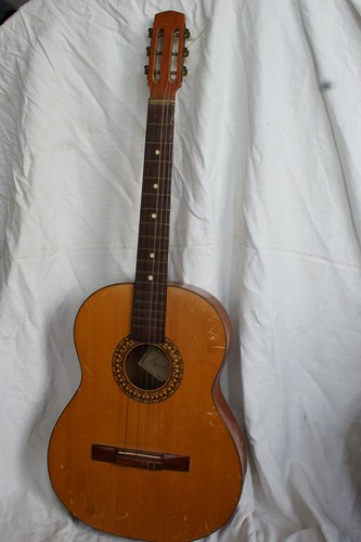 Guitare bucolo - guitare,