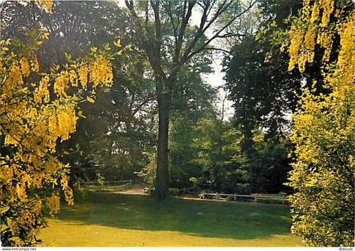 Carte postale carvin - -,