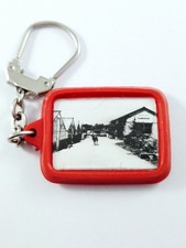 KEYRING - Flowers & Plants ROBERT LINARD Bourges Real Photo 1960s