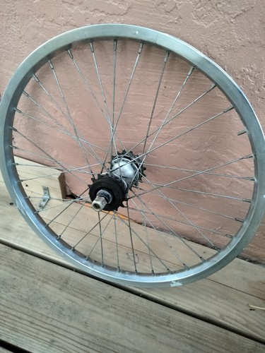 Vintage crupi rear - vintage,